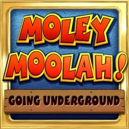 Moley Moolah Going Underground